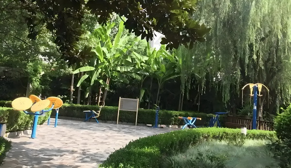 要出道了吗？！霍汶希女儿hanni杂志封面首秀